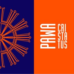 12.PAWA-Paŭnočnaja duda(CRISTATUS'13)