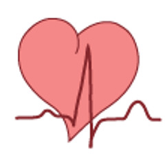 Endokarditis -01- Defin, Patho, Erreger