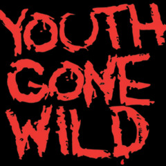 Youth Gone Wild(Saiko Disco RMX)