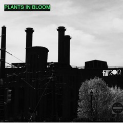 Plants in Bloom - TILL030 - Morning Qeed - Agostino Ticino