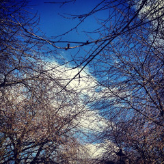 Lingering on your Hands