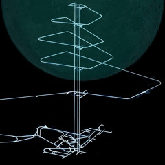 Petrels - Hinkley Point Balloon Release