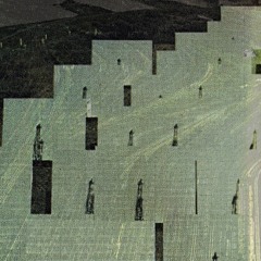 Petrels - Leonora Christine