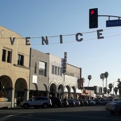 Venice Beach Live