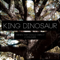 King Dinosaur - When They Could Own It Ft. Jake Reid