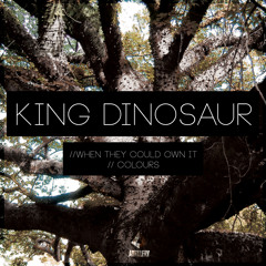 King Dinosaur - Colours