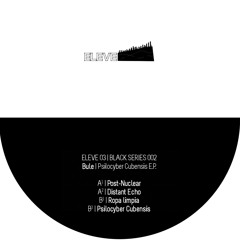 Bule_Psilocyber Cubensis E.P (Eleve 03) Black series#2
