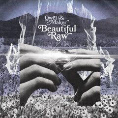 Qwel & Maker - Beautiful Raw (DJ Bizkid Megamix)