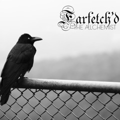 Farfetch'd - Anomaly 2