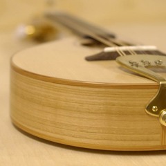 Mandolin (Cuz Teahan's)