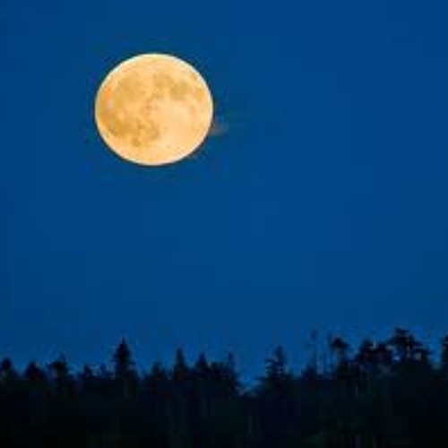 DD's Next Full Moon Mix