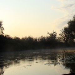 Mix: Letztens am See