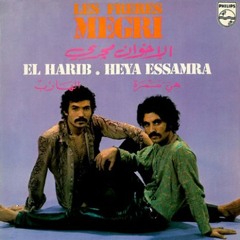 الإخوان مجري - ليلي طويل