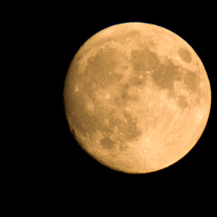 Don't Let Our Love Fade Away