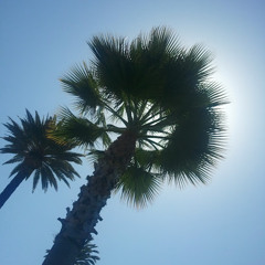 More Than I Wished For