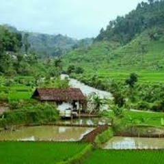 Milih Saha