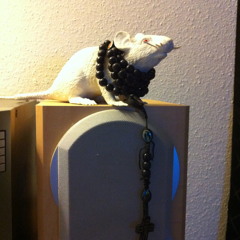 Hidden speak (unmastered)