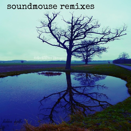 Hidden Depths-Soundmouse remixes