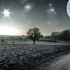 Solarity (SJE Music 2013) - Original ***FREE DOWNLOAD***