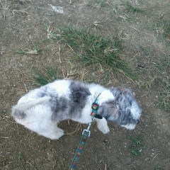 Can't Lose You (F4) Kill-me-now-cover