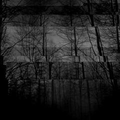 эмина лилит - паучьи танцы