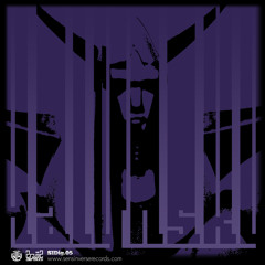 SIDig.05 : Halynsky - Delirium tatai PREVIEW