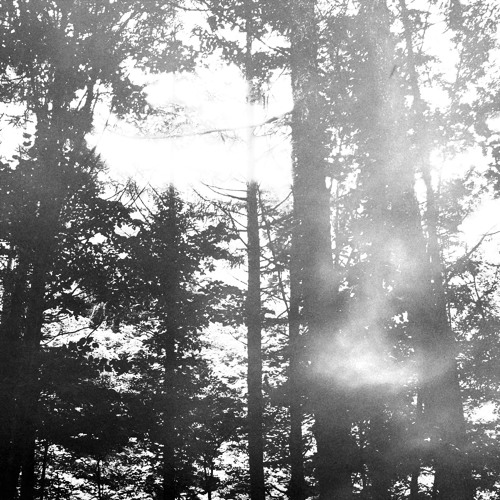 katsuyuki taguchi - rainy days in the forest (MIX TAPE)