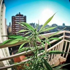 Antrack & DeeJn - Funky Wobble (Original Mix)