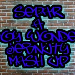 Separ a Boy Wonder - Jebnutý (Mashup)