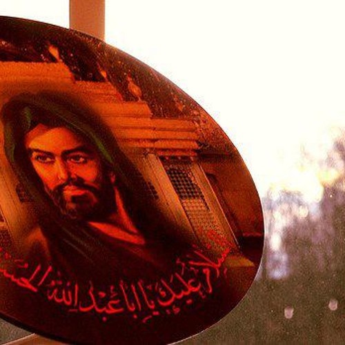 السيد محمد باقر العلوي - رحت الطبيب العلل