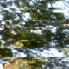 Earth-Summer, 2011