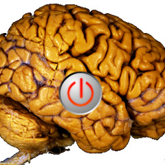 zone - brain OFF
