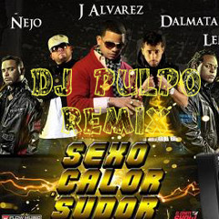 J.Alvares ft Ñejo flow Dalmata Sexo sudor y calor (Dj pulpo extended )