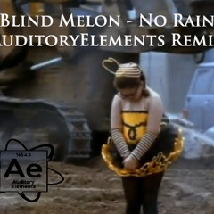 Blind Melon - No Rain (auditoryelements Remix)