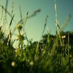 #SaturdaySoundSegments Field Recording 1