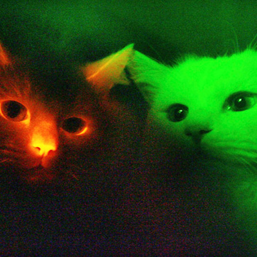 fluorescent face