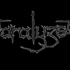 Paralyzed  retribution-storm of the light's bane dissection cover