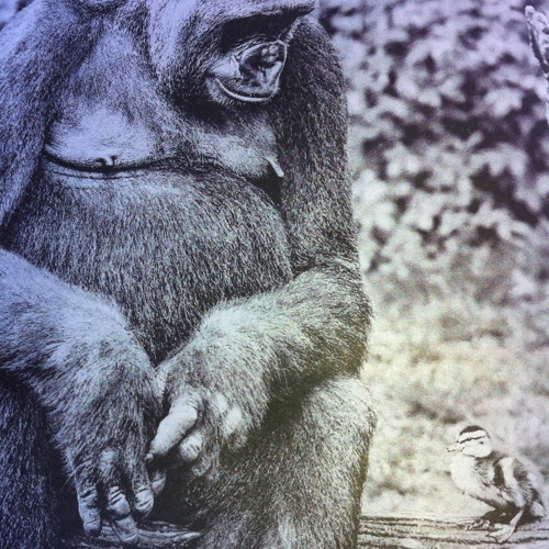 SUMMA JAM AUTUMN REMIX