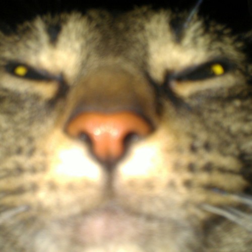 Skinned ( Official Full Length Blind Melon Cover ) Remix By The Krambis