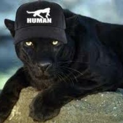 A Human Man (Not A Puma)
