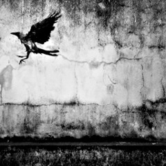 Ant savage - sheets (Damien Jurado)Antsavagemusic/facebook (please like)