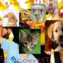 Can't Bear This Party!! - Lil' Bow Wotami