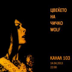 Cvekjeto na Cicko Wolf @ Kanal 103