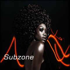Get Your Custom Beats With Subzone