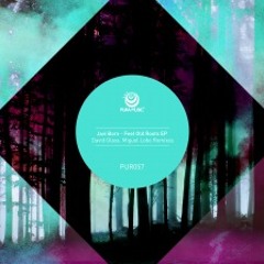 PUR057 Javi Bora - Feel Old Roots ( Incl. David Glass & Miguel Lobo Remixes )