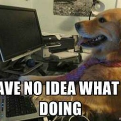 Programming