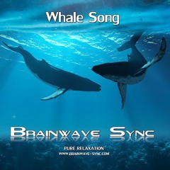 Whale Song - Relaxation - Sample