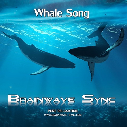 Whale Song - Sample