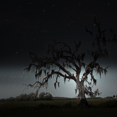 Mike Tohr B2B SOEN @ Human