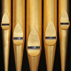 Minibrute - Little Fugue (Bach Cover) v2